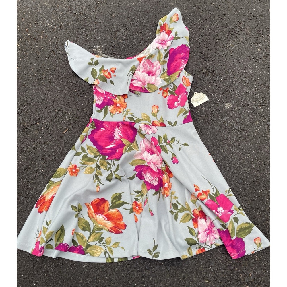 Altar'd State Women's Normandie Floral Grey Pink Summer Off Shoulder Dress M NWT
